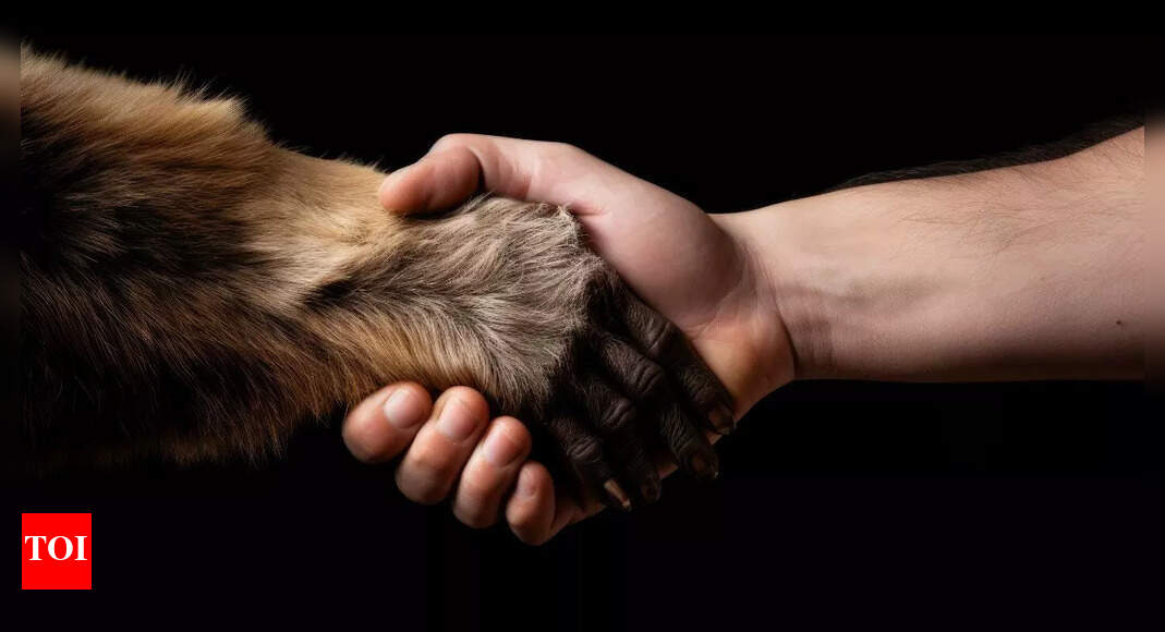 Can animals be left-handed or right-handed; the answer might shock you |