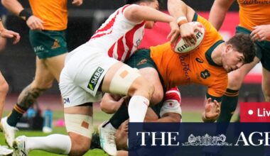 Wallabies v Japan: Live updates