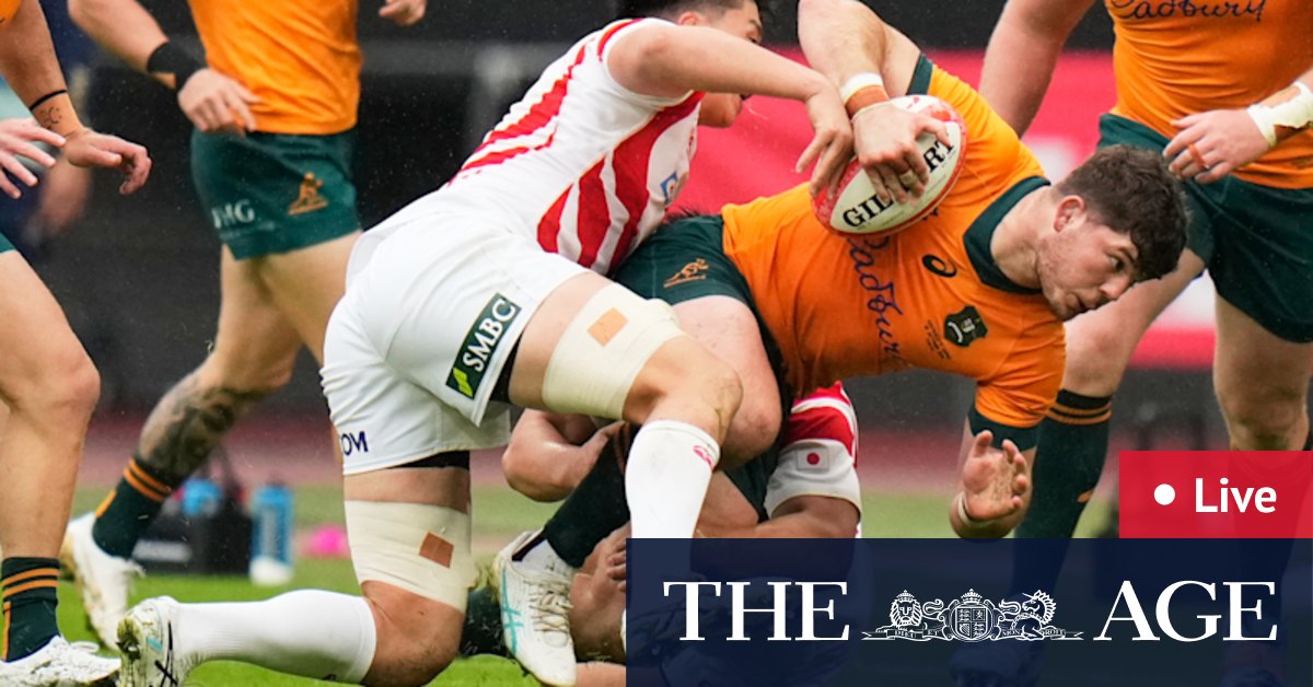 Wallabies v Japan: Live updates