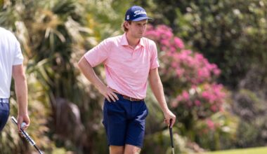 University of Hawaii Logo