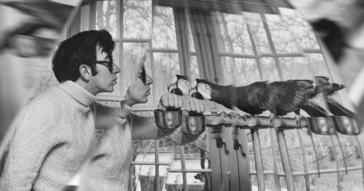 5 Outstanding Artworks Under $10,000 at Artissima 2025