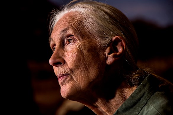 The Taronga Institute of Science and Learning’s Education Centre is dedicated to Dr Jane Goodall.