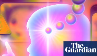 ‘My son genuinely believed it was real’: Parents are letting little kids play with AI. Are they wrong? | Artificial intelligence (AI)