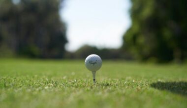 Saint Mary’s golf climbs to top of MIAA standings