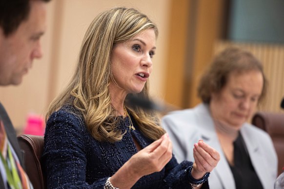 eSafety Commissioner Julie Inman Grant said creators of companion AI chatbots would need to prove children are not able to generate innapropriate content.