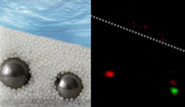 Fingerprint method can detect objects hidden in complex scattering media – Physics World