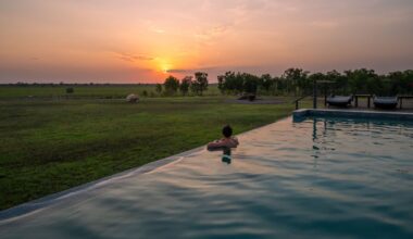 My thrilling trip chasing crocodiles in remote Australia