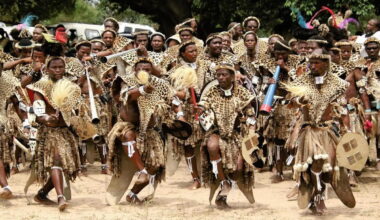 Study reveals overlooked cultural threat to wildcats across Africa