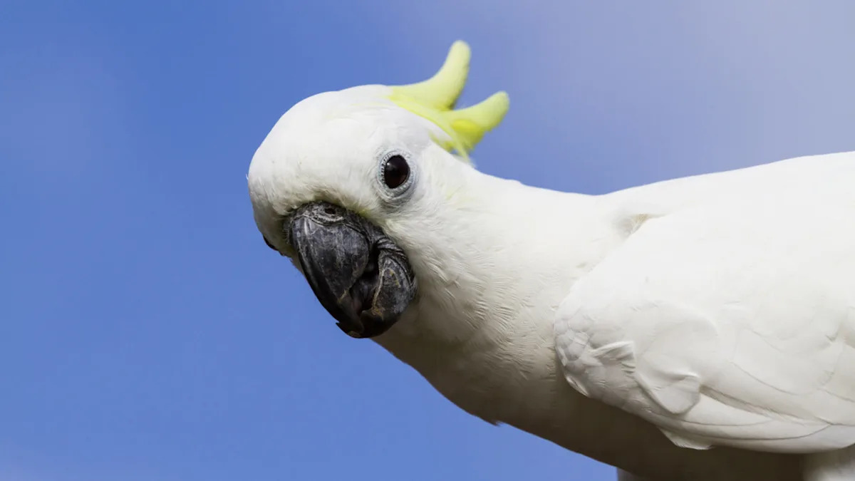 Yahoo lifestyle home