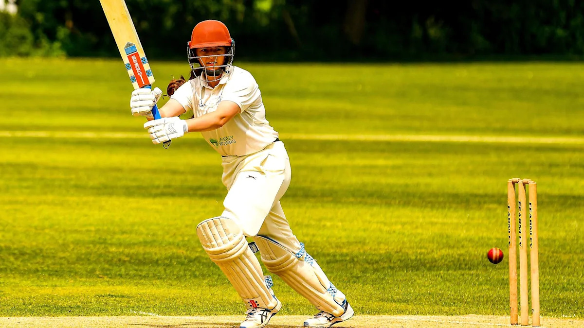 From Swansea to Sydney - the cricketer smashing it out of the park