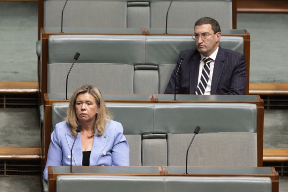 Two of the Coalition’s only pro-Voice MPs, Julian Leeser and Bridget Archer in 2023.