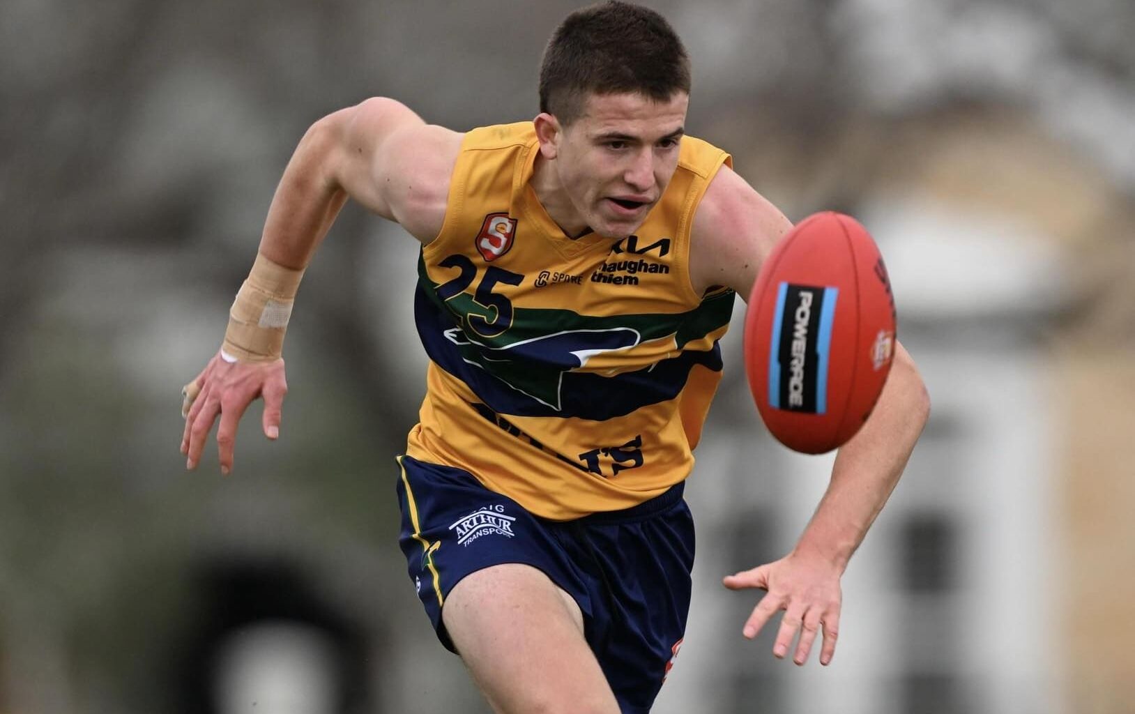 541252333_1430517568042143_4651131832833861497_n