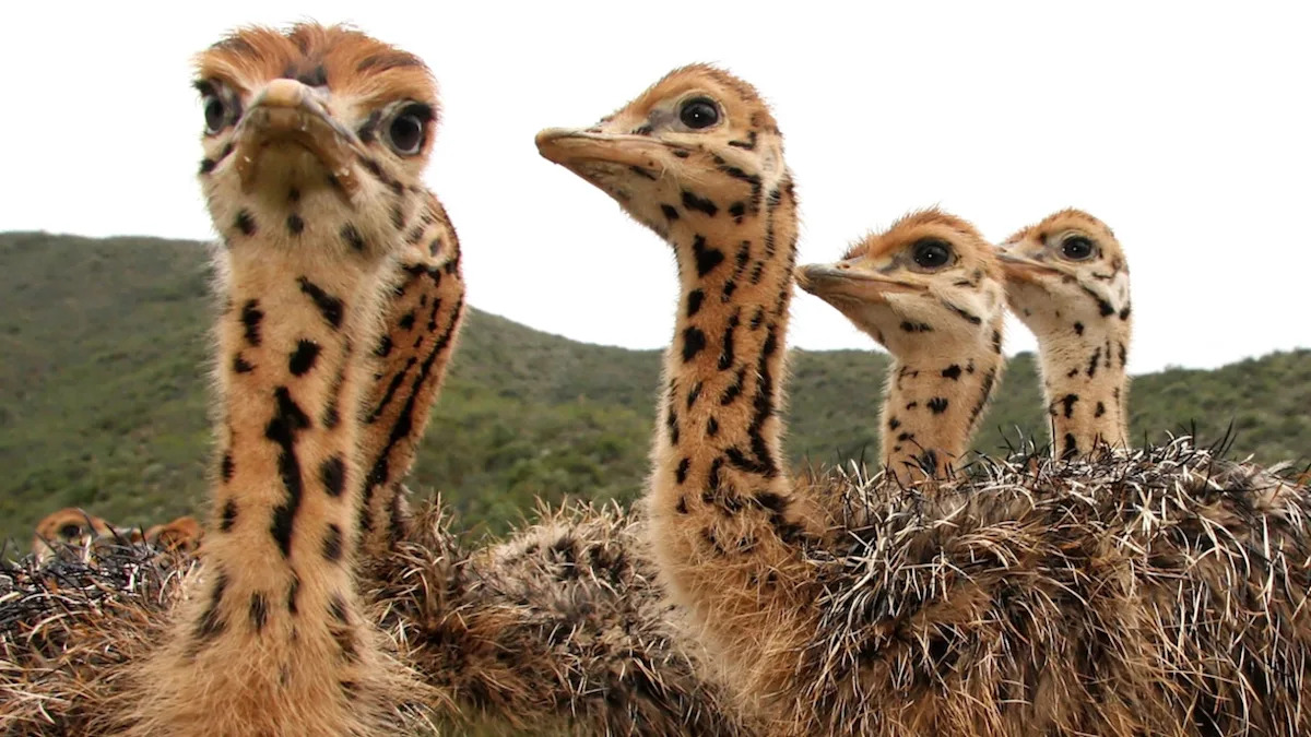 Yahoo lifestyle home