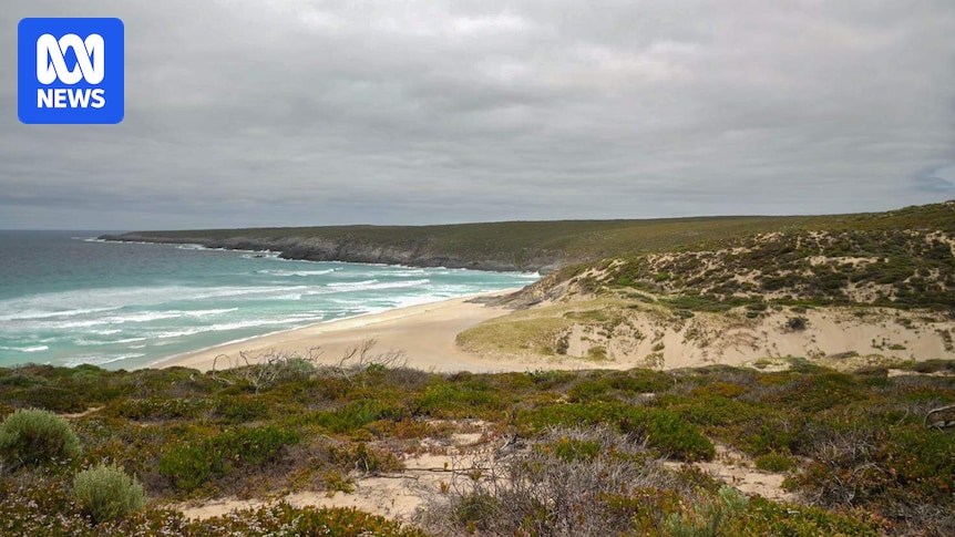 AUDIO: Man drives himself to hospital after shark attack - Australian Broadcasting Corporation