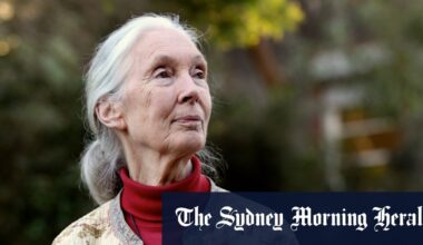 Jane Goodall had ‘old friends’ in Sydney, but rebuked Australian conservation efforts