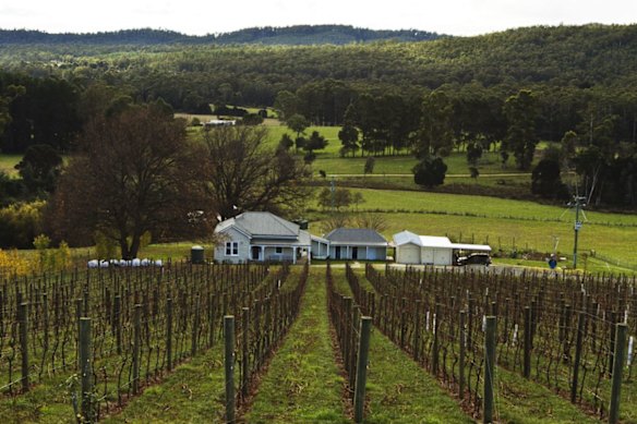Tasmania’s Apogee winery, run by Dr Andrew Pirie. 