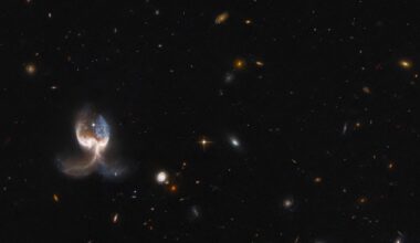 The NASA/ESA Hubble Space Telescope photographed the VV689 system, which consists of two massive merging galaxies, giving the system a symmetrical "wing" appearance.