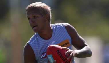 Ex-AFL trio dominate NTFL matches following recent top flight exits - AFL News