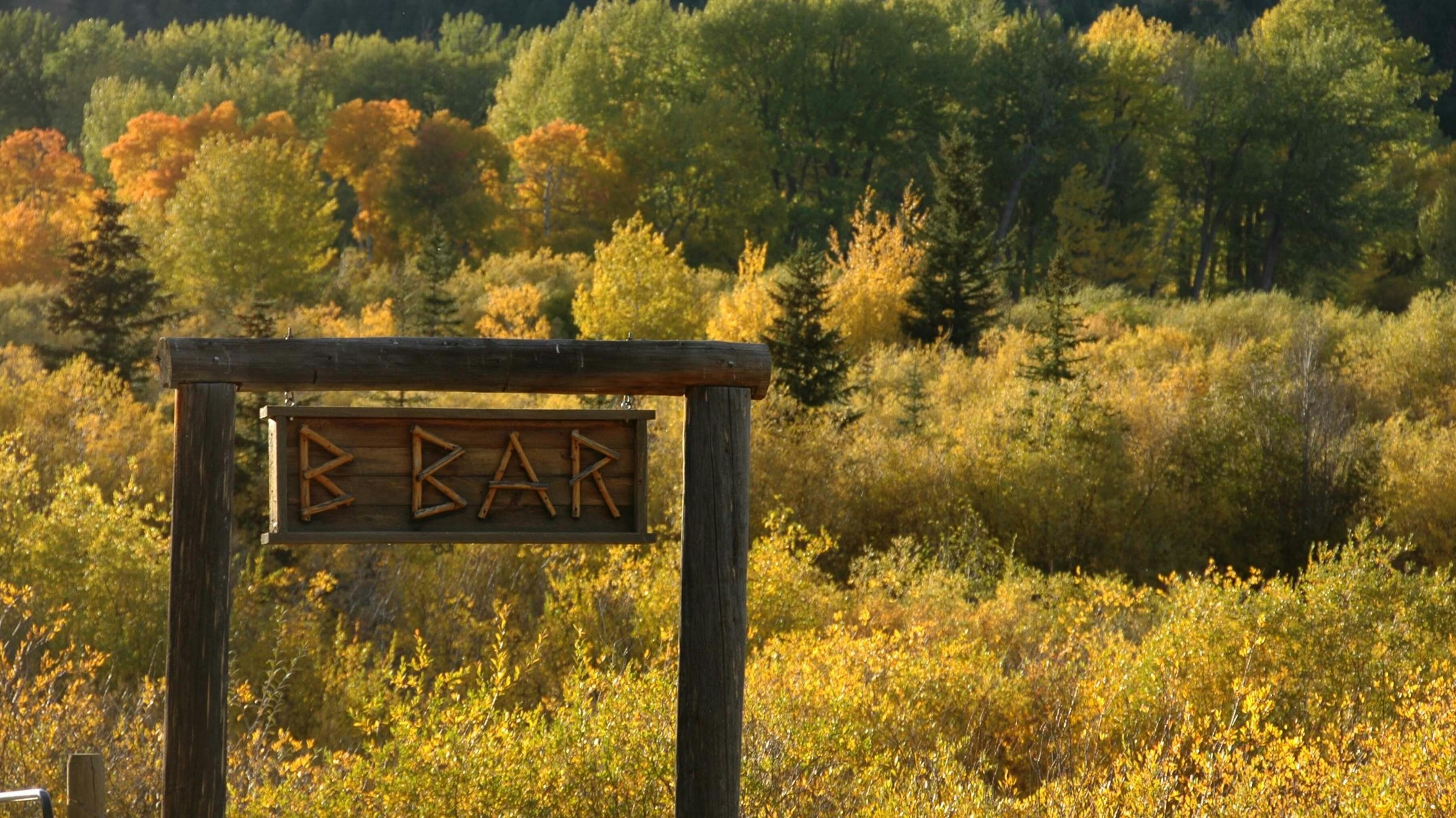 High up the Tom Miner Basin, just across the Wyoming line, an organic cattle operation thrives alongside a growing number of grizzly bears, which draw wildlife watchers every October to see the bears feast on caraway root.