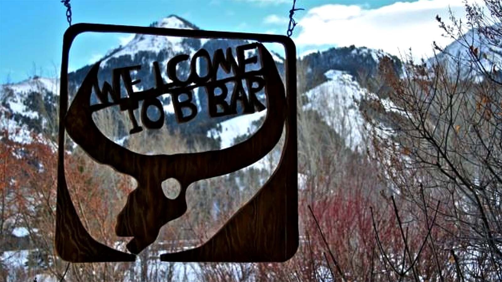 High up the Tom Miner Basin, just across the Wyoming line, an organic cattle operation thrives alongside a growing number of grizzly bears, which draw wildlife watchers every October to see the bears feast on caraway root.