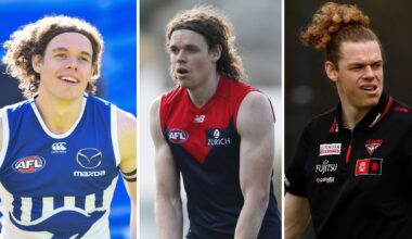 Ben Brown reflects on his career in the AFL