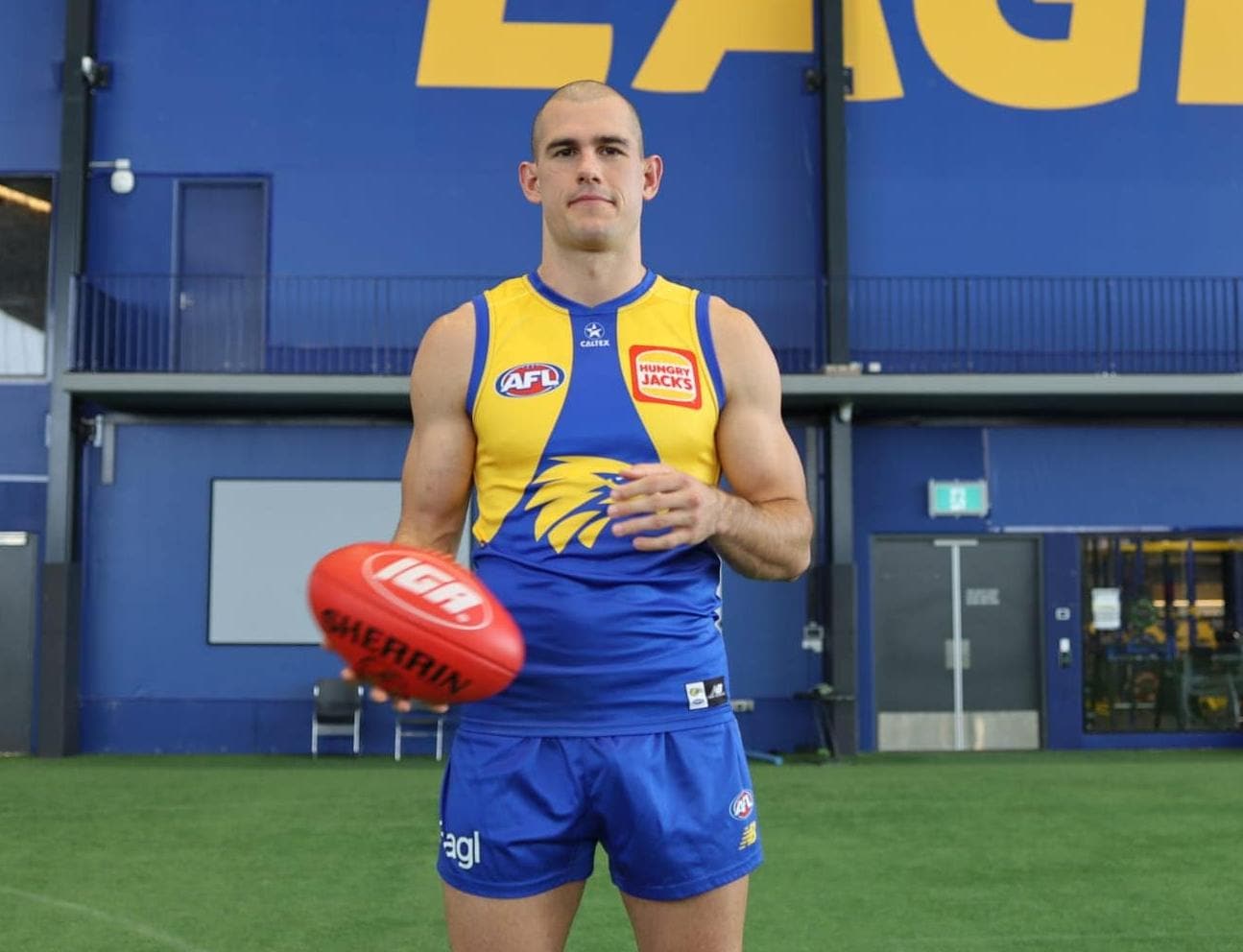 New Eagle lands in the nest