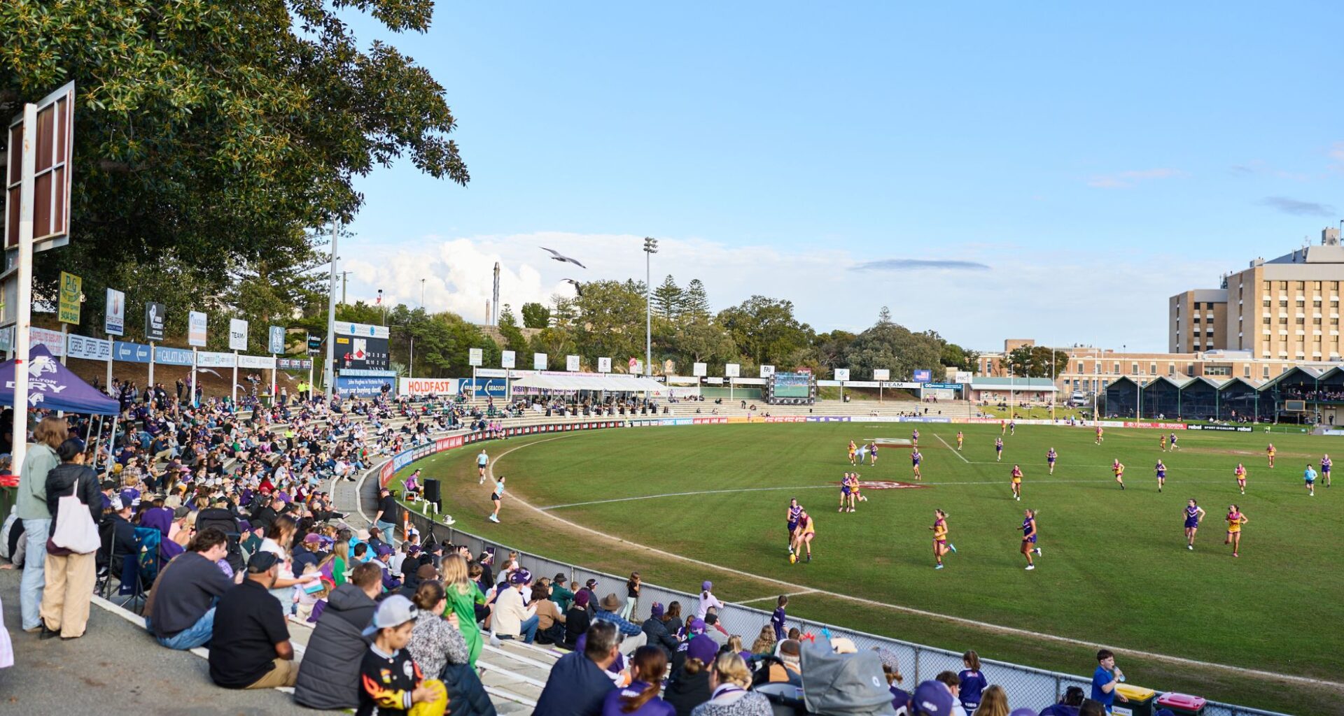Rally The Purple Army For The Fremantle Dockers Final AFLW Home Game