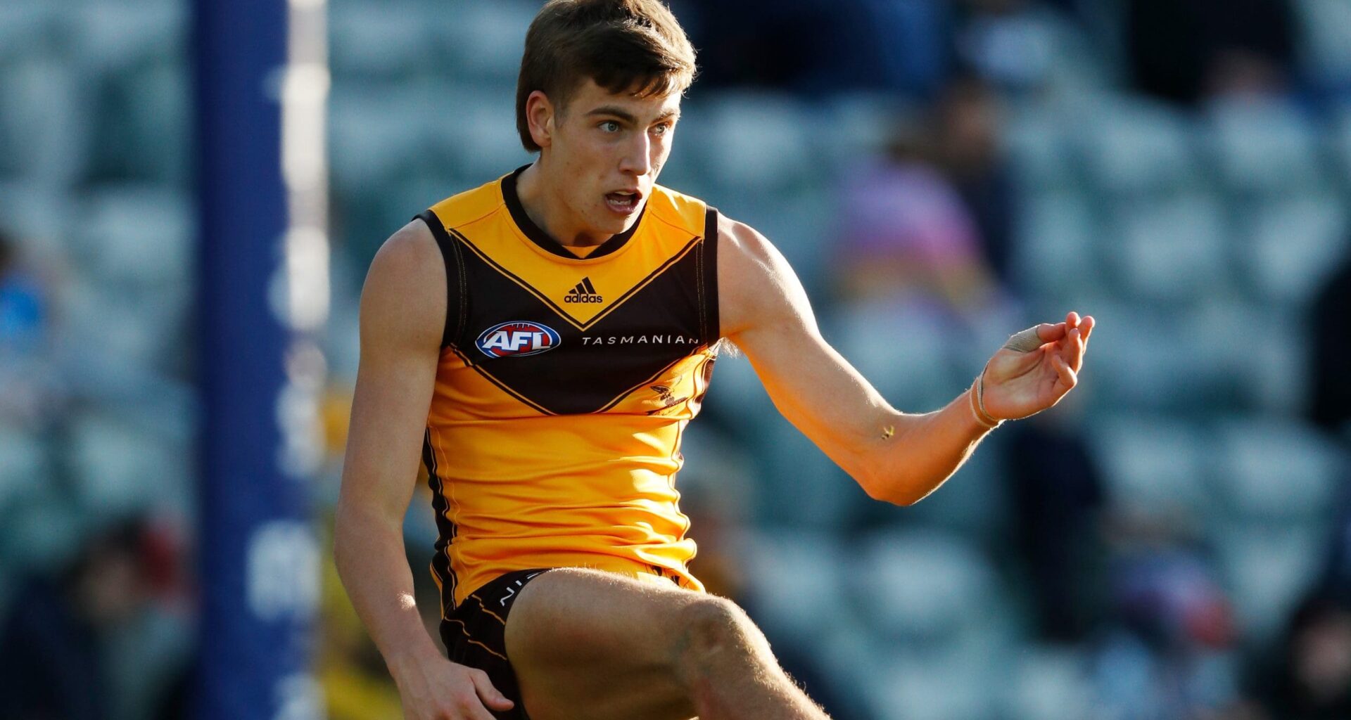 Fourth club enters sweepstakes for out-of-contract Hawks defender: AFL trade news - AFL News