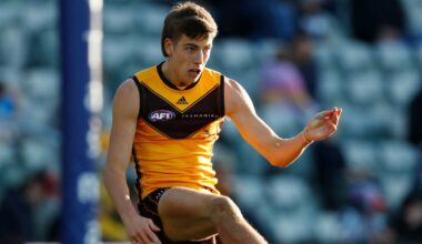Fourth club enters sweepstakes for out-of-contract Hawks defender: AFL trade news - AFL News