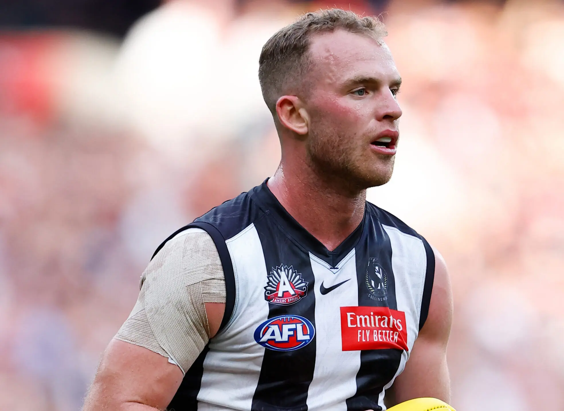 "We're not finished": Collingwood set for more list moves after busy 2022 trade plans