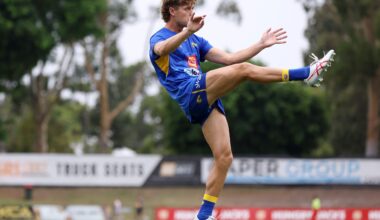 One-game delisted Eagle lands at SANFL club - AFL News