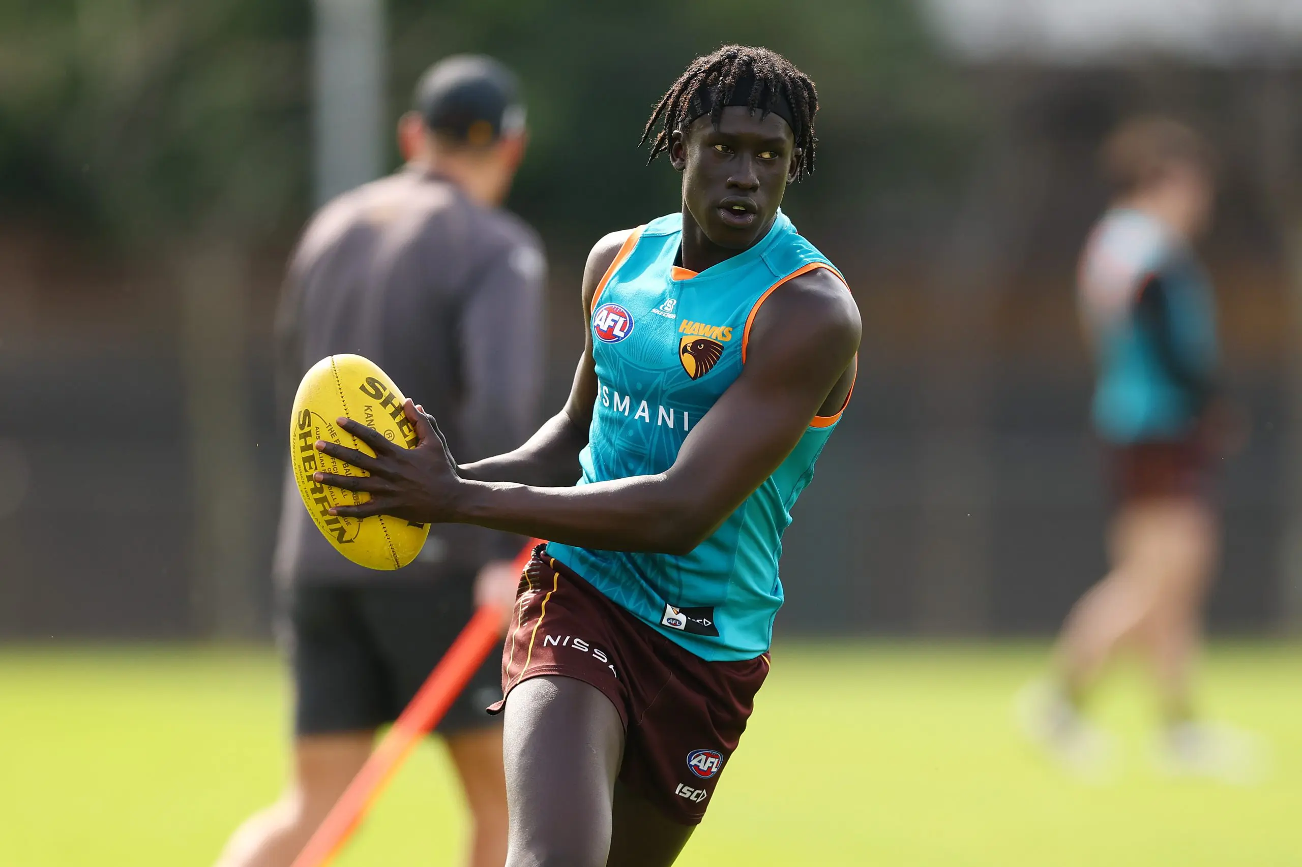 Let me entertain you: The Hawk ready to excite in 2025