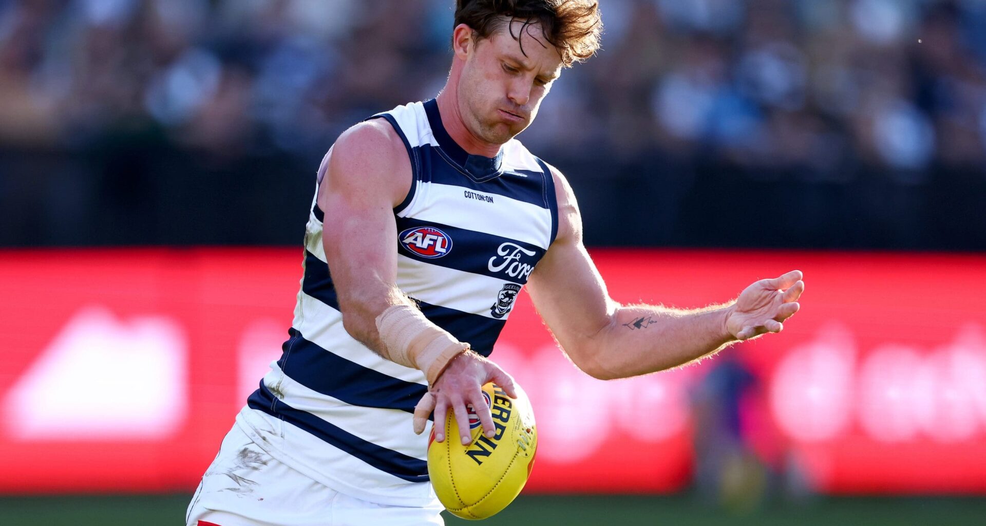 Geelong finalise list following trio's re-signing - AFL News