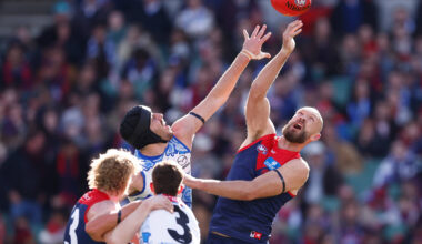 Former AFL player and umpire's snap reaction to rule changes