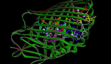 image of a barrel formed by criss-crossing green strands, each representing the path taken by a string of amino acids.