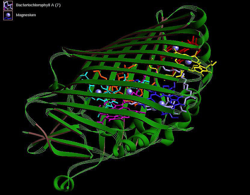 image of a barrel formed by criss-crossing green strands, each representing the path taken by a string of amino acids.