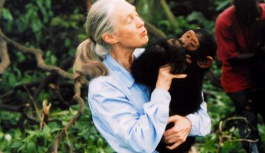Legendary chimpanzee zoologist was 91