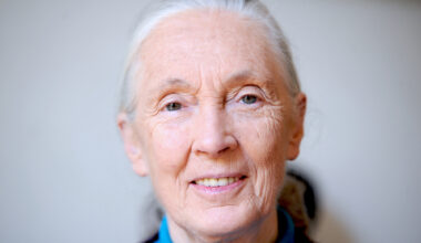 Legendary Scientist Jane Goodall Passes Away at 91