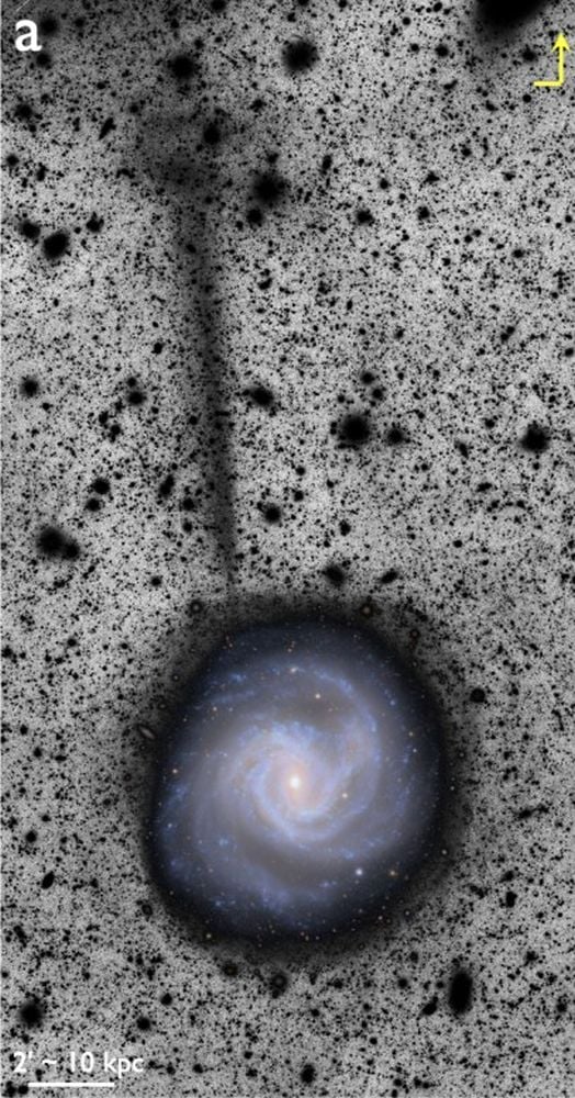 The Vera Rubin Observatory found a stellar stream coming from the M61 galaxy, a spiral galaxy in the Virgo Cluster. It extends for about 50 kpc, or 163,000 light years. The face-on image of M61 comes from the PHANGS (Physics at High Angular resolution in Nearby GalaxieS) survey. Image Credit: Romanowsky et al. 2025, RNAAS.