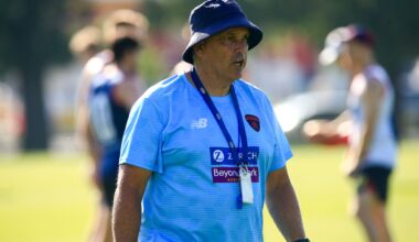 The FOUR key attributes AFL scouts prioritise, according to Mark Williams - AFL News