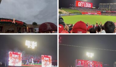 Is baseball… fun? — The Panther Newspaper