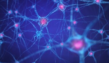 Discovery of unique brain cells sheds light on progressive multiple sclerosis