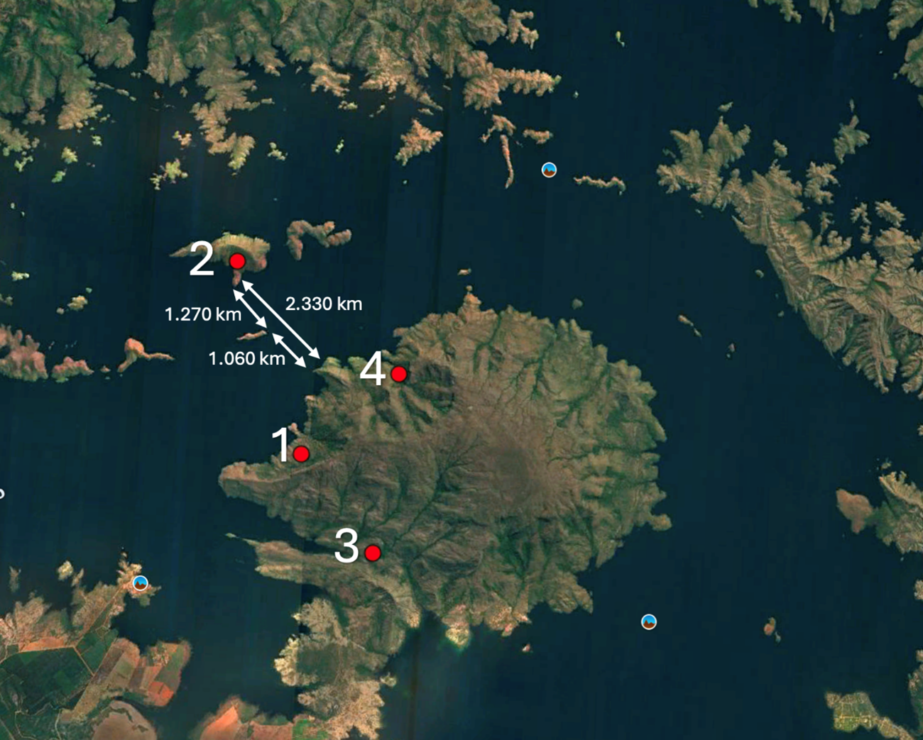 A jaguar was photographed by camera traps at locations 1 and 2 in the Serra da Mesa reservoir. Image courtesy of Silveira et al., 2025 (CC BY 4.0). 