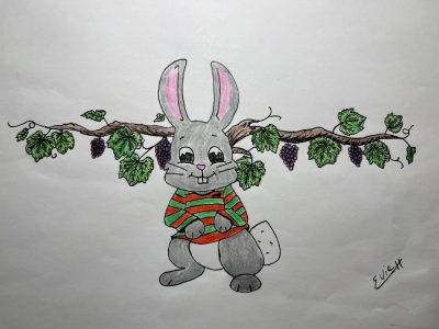 Almanac Rugby League – RITV: The First Ashes Test