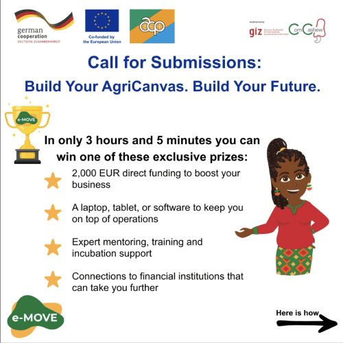 ComCashew e-MOVE “Build Your AgriCanvas” Fund – Chance to Get