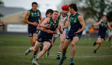 Premiership Saint heads west in AFL role