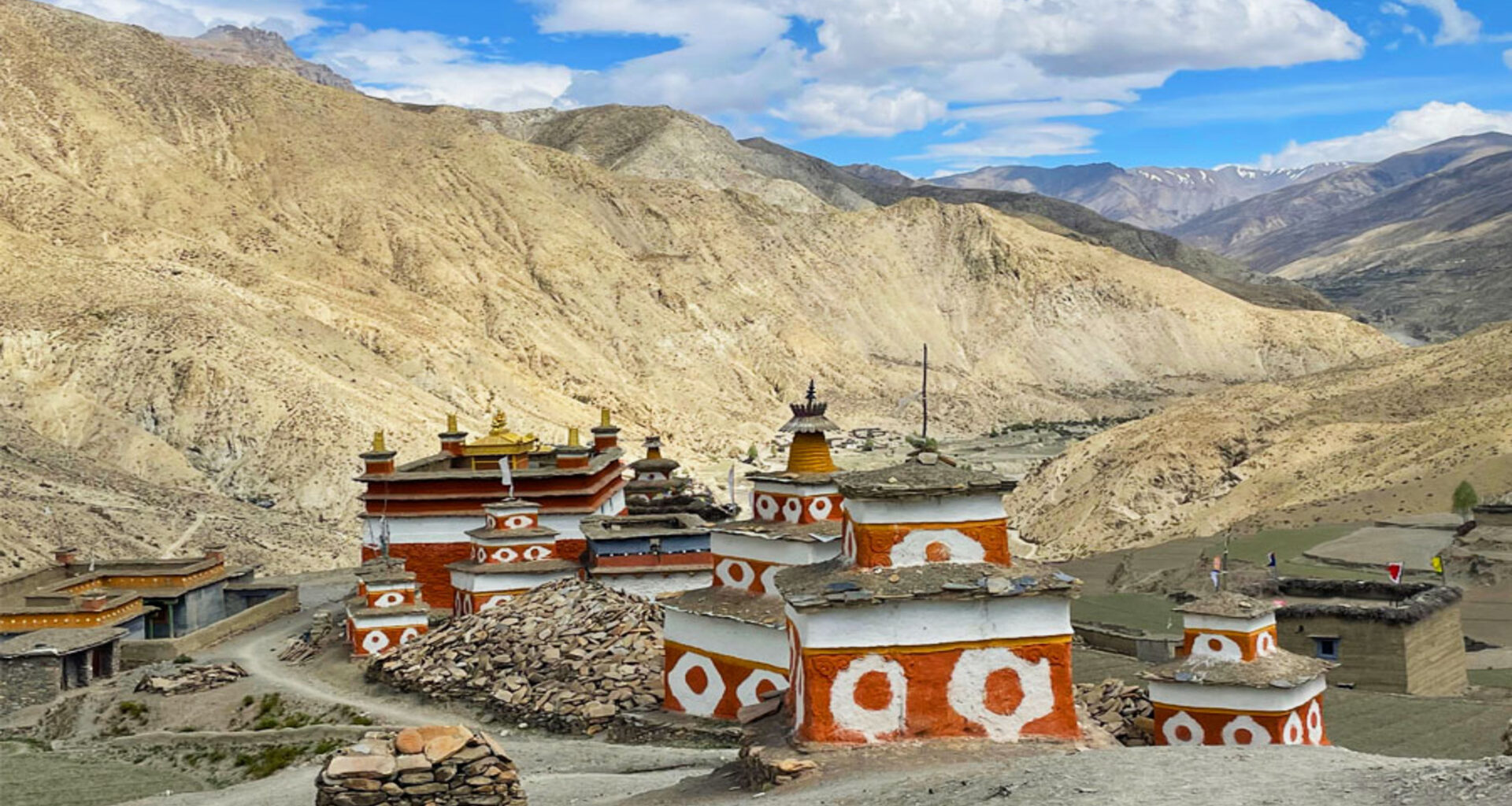 Fungi could replace silicon: Study shows mushrooms can store digital data