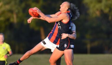 Seagulls big get | Maribyrnong & Hobsons Bay