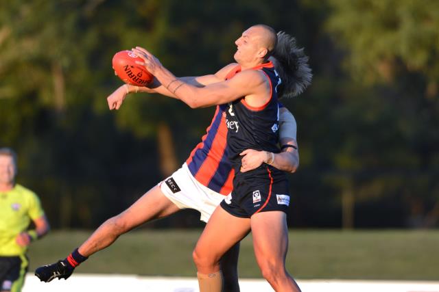 Seagulls big get | Maribyrnong & Hobsons Bay