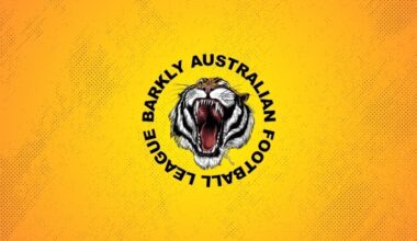 2025 BAFL Finals Series Investigation Findings